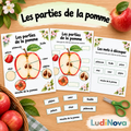 Les parties de la pomme - activité de découpage et collage