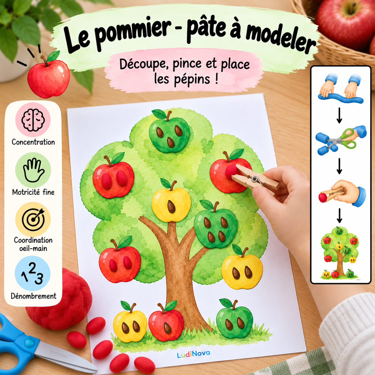 Le pommier – pâte à modeler
